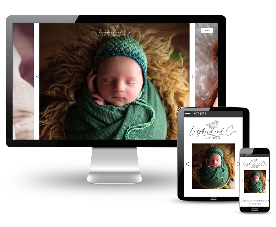 Ladybirdandcophotography.ie - Newborn and baby photography - reszponzív honlapkészítés