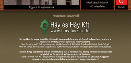 fanyilaszaro.hu re-design