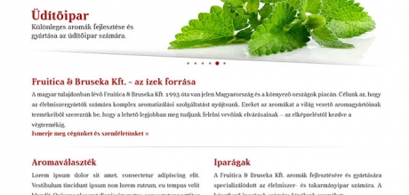 Fruitica & Bruseka Kft. bemutatkozó oldalának megújítása