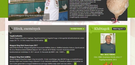 Magyarkingklub.hu weboldalának megújítása