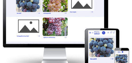 Pecsiszolo.hu - Pécsi szőlő - reszponzív webáruház készítés