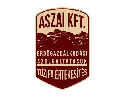 Aszai.hu logó készítés