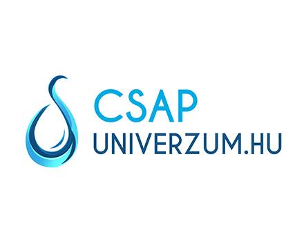 Csapuniverzum.hu logó készítés