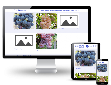 Pecsiszolo.hu - Pécsi szőlő - reszponzív webáruház készítés