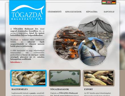togazda.hu céges weboldal elkészítése