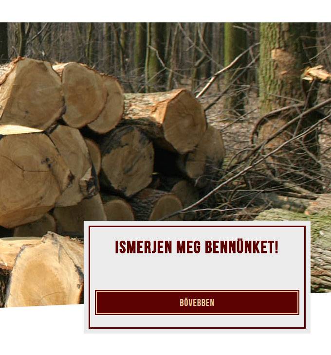Aszai.hu - Erdőgazdálkodás, tűzifa értékesítési reszponzív weboldal készítés