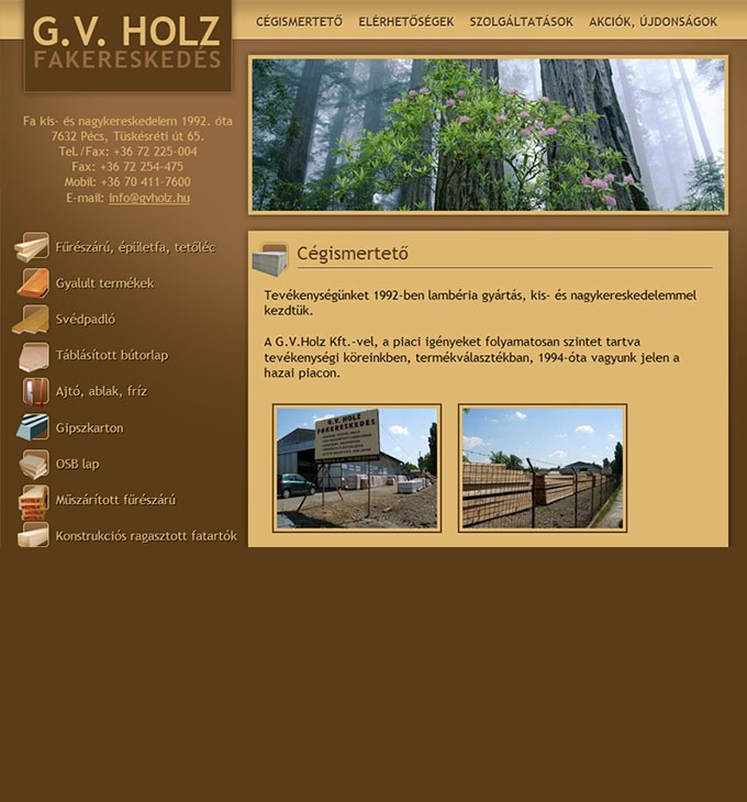 A pécsi G.V. Holz Kft bemutatkozó weboldalának elkészítése