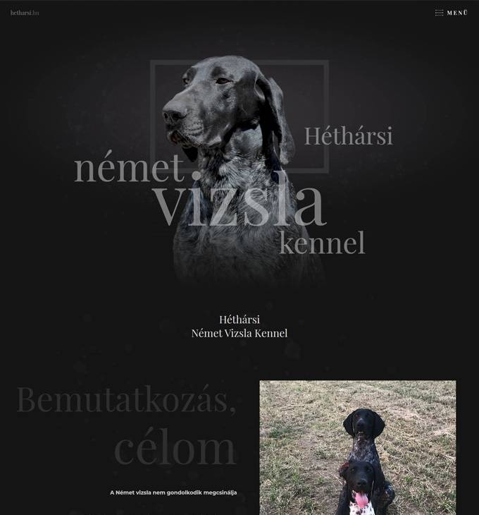Hetharsi.hu - Héthársi Német Vizsla Kennel - reszponzív honlapkészítés