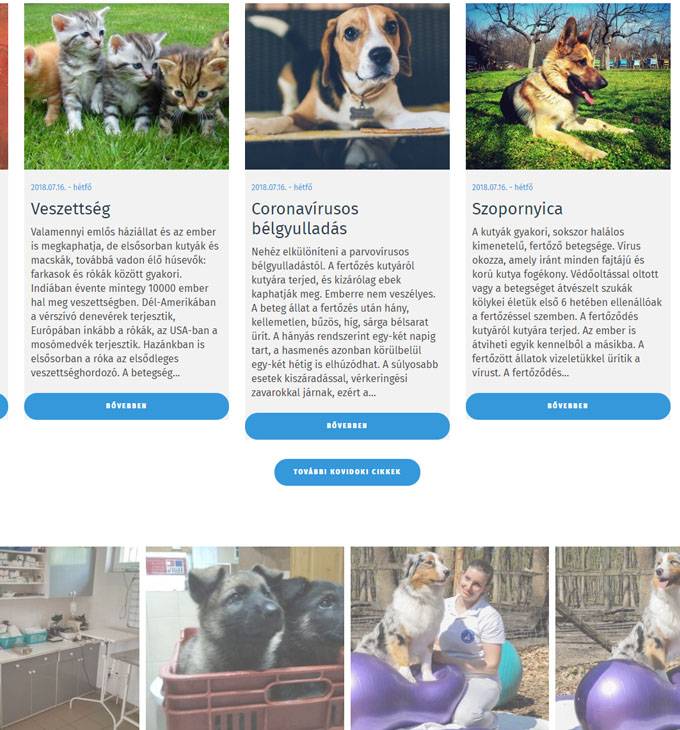Kovidoki.hu - hódmezővásárhelyi állatorvosi rendelő reszponzív honlapkészítés