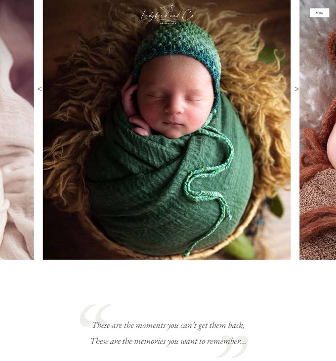 Ladybirdandcophotography.ie - Newborn and baby photography - reszponzív honlapkészítés