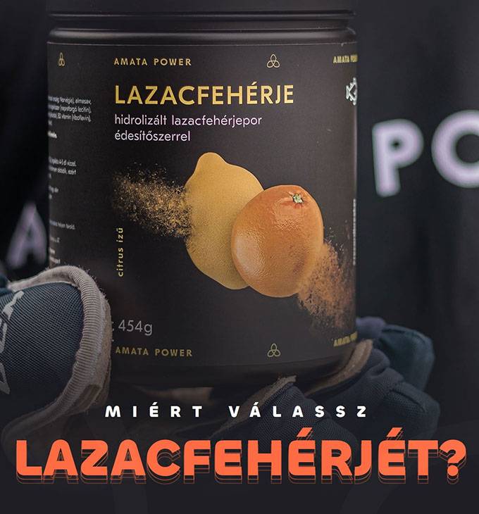 Lazacfeherjearuhaz.hu - Lazacfehérje webáruház - reszponzív webshop készítés