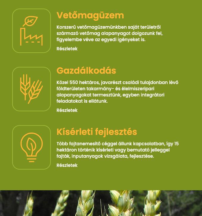 Papespapp.hu céges bemutatkozó weboldal készítése