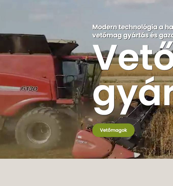 Papespapp.hu céges bemutatkozó weboldal készítése