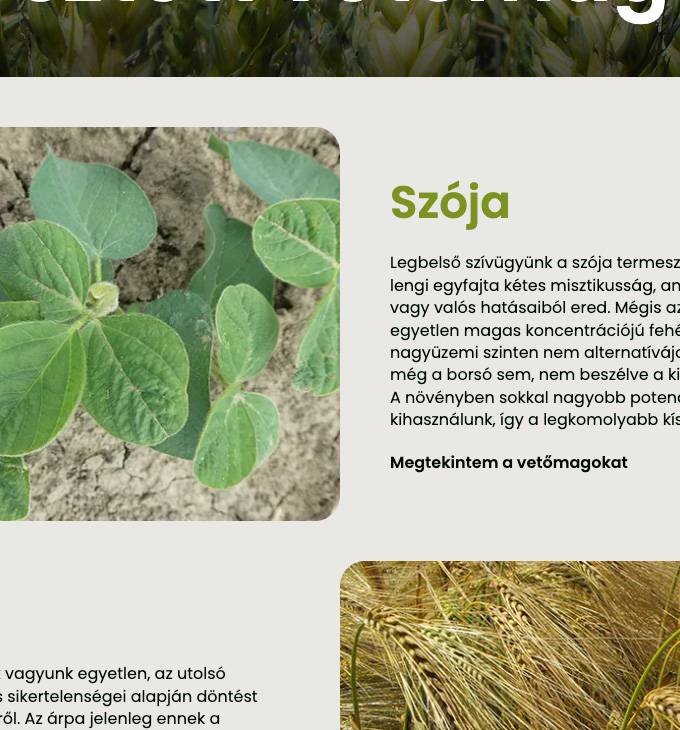 Papespapp.hu céges bemutatkozó weboldal készítése