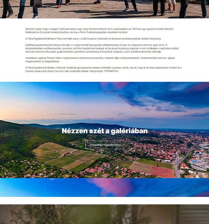 Szbki.pte.hu - PTE Szőlészeti és Borászati Kutatóintézet - reszponzív honlapkészítés