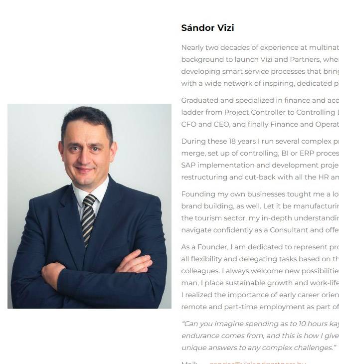 Theheadhunter.hu - Vizi and Partners, Fejvadász vállalkozás - reszponzív honlapkészítés