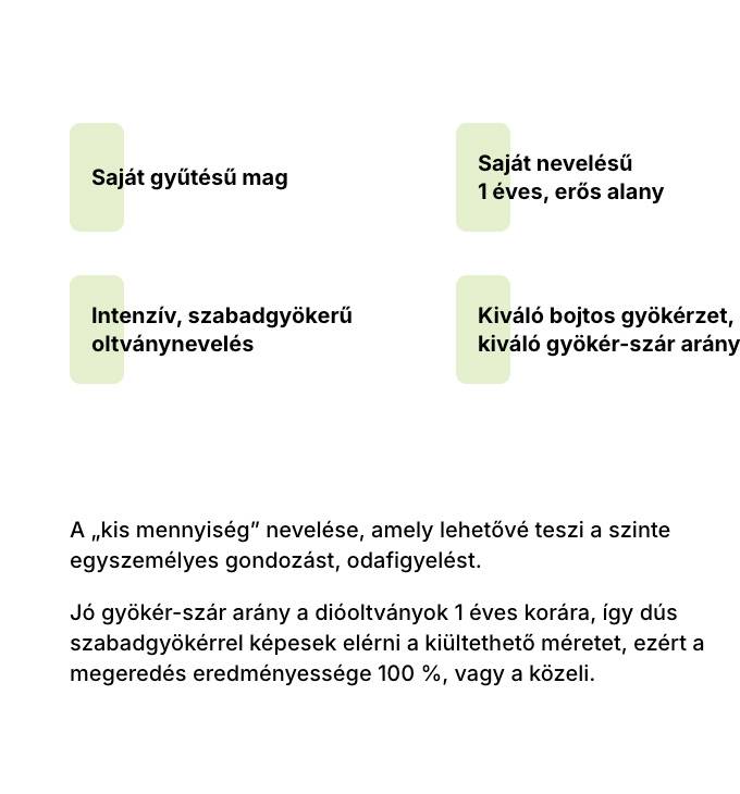 Vitalwooddiofaiskola.hu weboldalkészítés